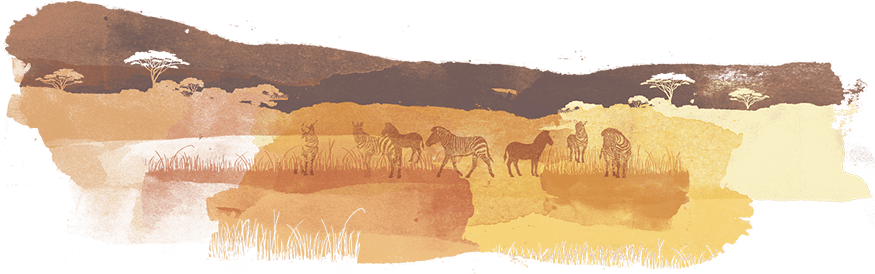 Safari field guides to evaluating Safari