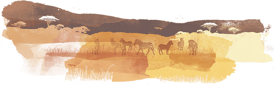 zebras landscape