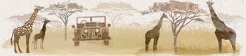 Our journey to Safari