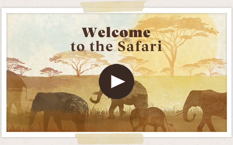 Welcome to the Safari video